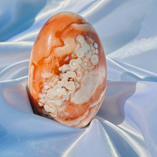 Pastel Carnelian W/ Orca Agate Freeform